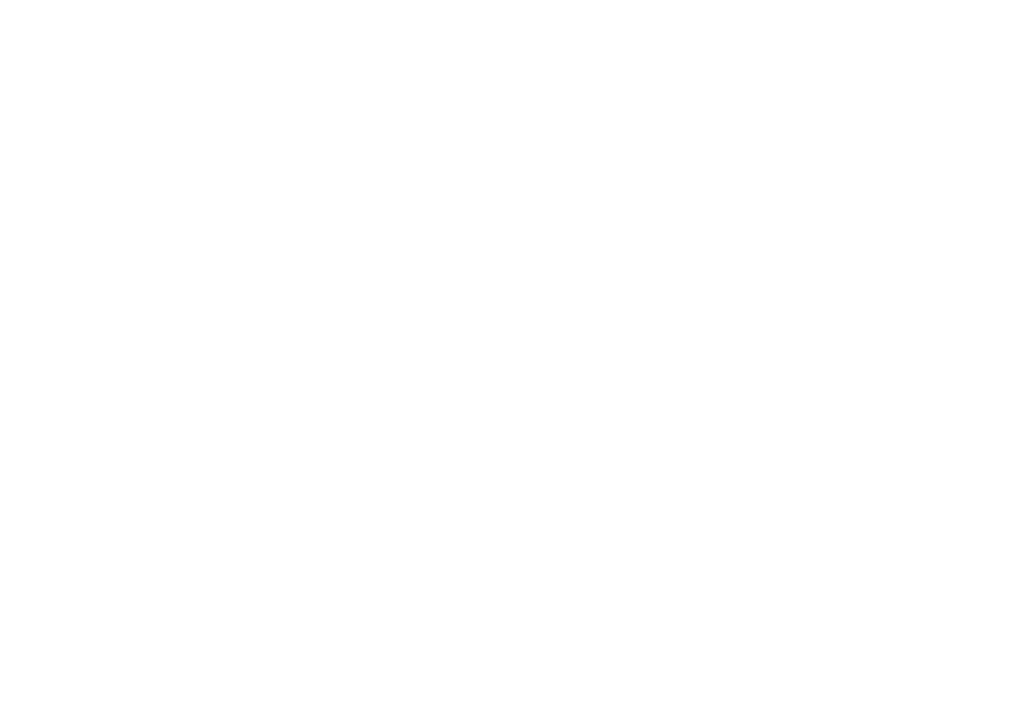 Stripe Advance Inc. logo